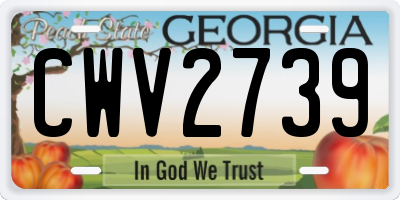 GA license plate CWV2739