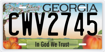 GA license plate CWV2745