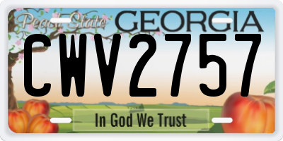 GA license plate CWV2757