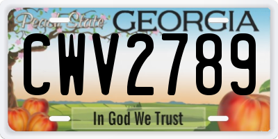 GA license plate CWV2789
