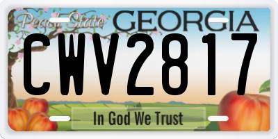GA license plate CWV2817
