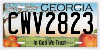 GA license plate CWV2823