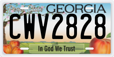 GA license plate CWV2828