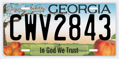 GA license plate CWV2843