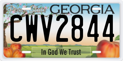 GA license plate CWV2844