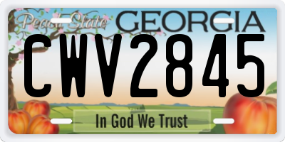 GA license plate CWV2845