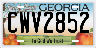 GA license plate CWV2852