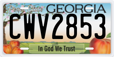 GA license plate CWV2853