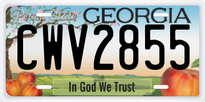 GA license plate CWV2855