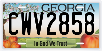 GA license plate CWV2858