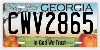 GA license plate CWV2865