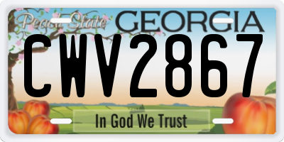 GA license plate CWV2867