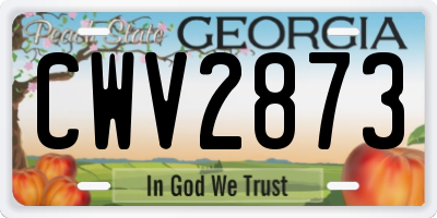 GA license plate CWV2873