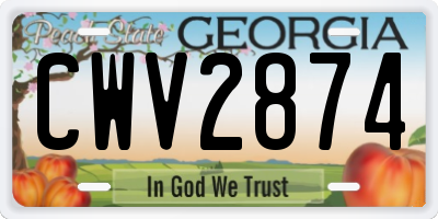 GA license plate CWV2874