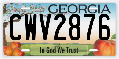 GA license plate CWV2876