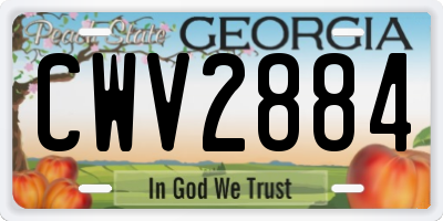 GA license plate CWV2884