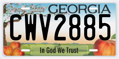 GA license plate CWV2885