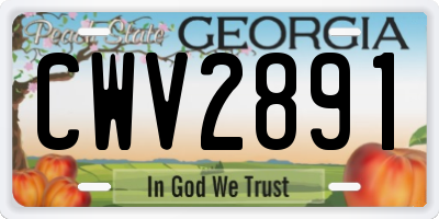 GA license plate CWV2891