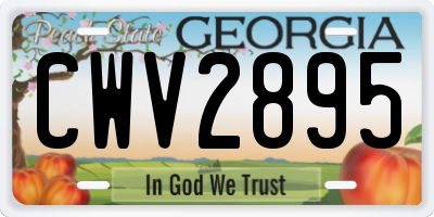 GA license plate CWV2895