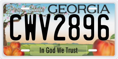 GA license plate CWV2896