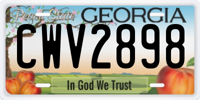 GA license plate CWV2898
