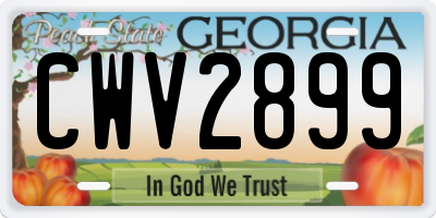 GA license plate CWV2899
