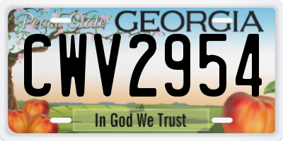GA license plate CWV2954