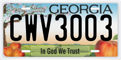 GA license plate CWV3003