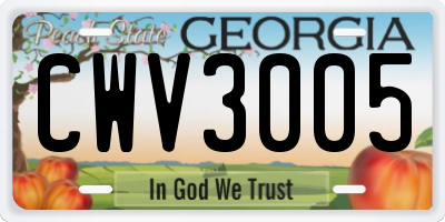 GA license plate CWV3005