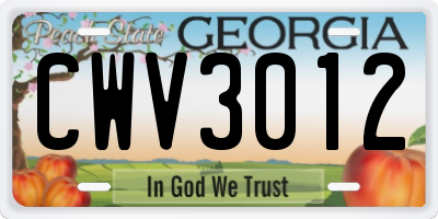 GA license plate CWV3012