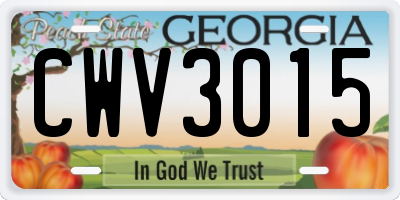 GA license plate CWV3015