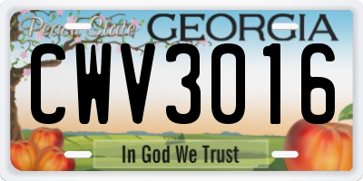 GA license plate CWV3016