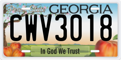 GA license plate CWV3018