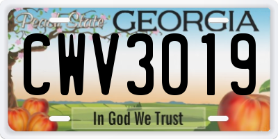 GA license plate CWV3019