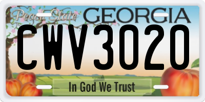 GA license plate CWV3020