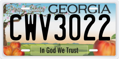 GA license plate CWV3022