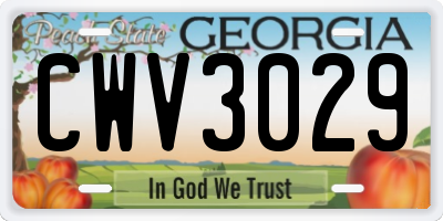 GA license plate CWV3029