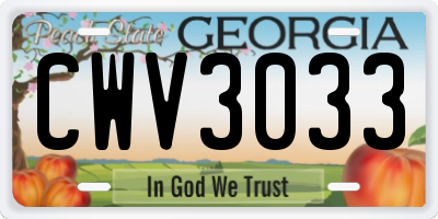 GA license plate CWV3033