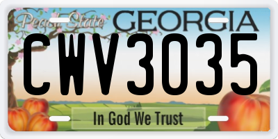 GA license plate CWV3035