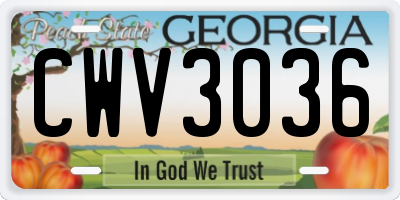 GA license plate CWV3036