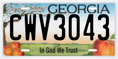 GA license plate CWV3043