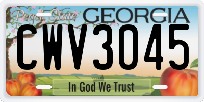 GA license plate CWV3045
