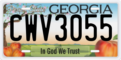 GA license plate CWV3055