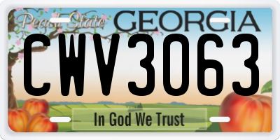 GA license plate CWV3063