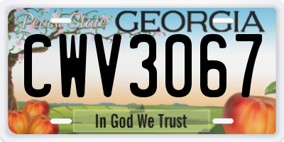 GA license plate CWV3067