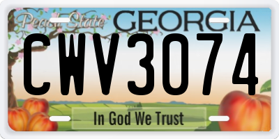 GA license plate CWV3074