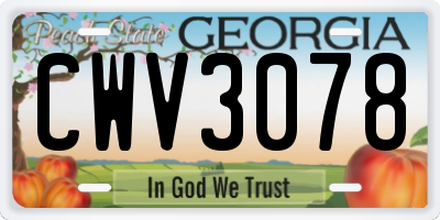 GA license plate CWV3078
