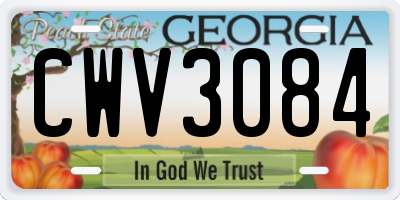 GA license plate CWV3084