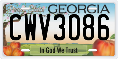 GA license plate CWV3086