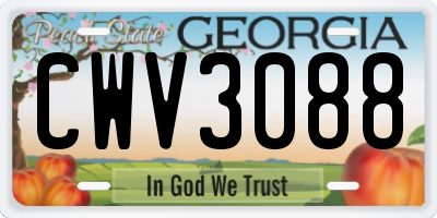 GA license plate CWV3088